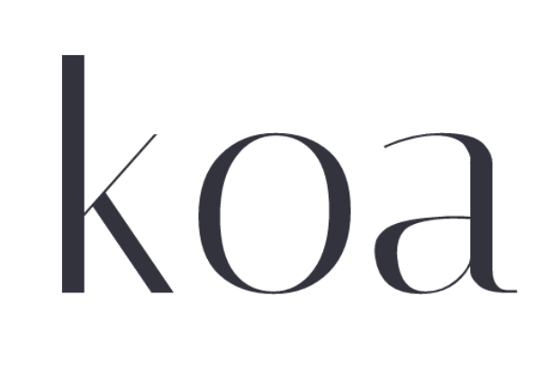 koa 图标