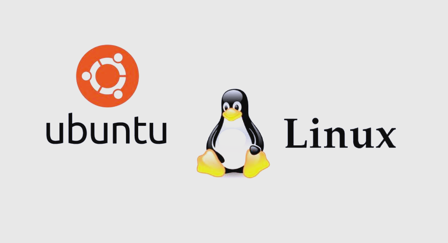 The cover picture of the previous content